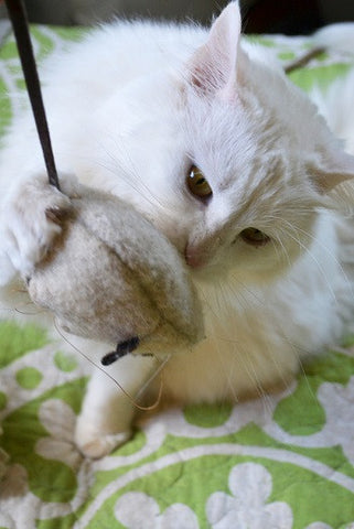 Wool Mouse Cat Toy