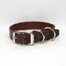 South American Caiman Dog Collar - Brown