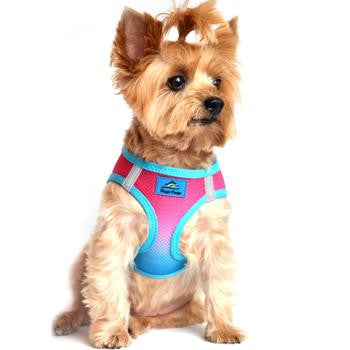 American River Dog Harness Ombre Collection - Sugar Plum